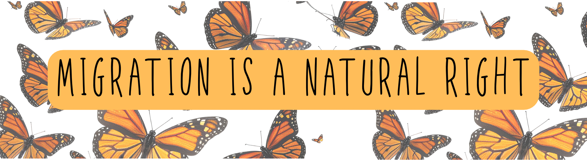 Migration is a natural right bumper sticker